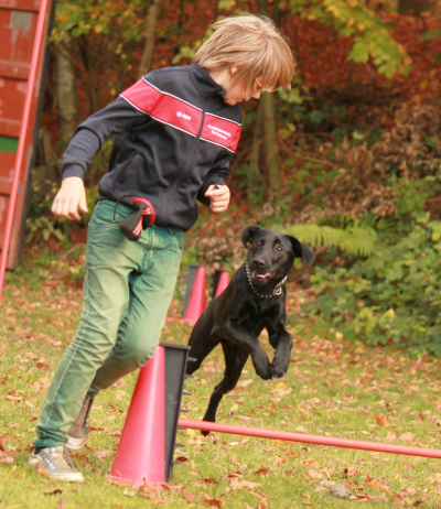 Aaliyah Oktober 2013 - Turnierhundsport