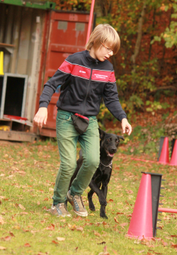 Aaliyah Oktober 2013 - Turnierhundsport