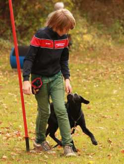 Aaliyah Oktober 2013 - Turnierhundsport