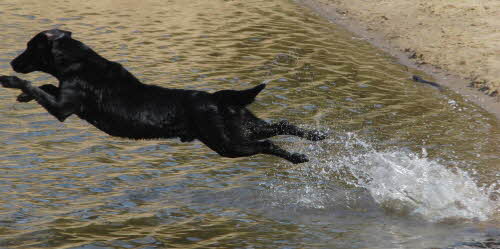 Hinein ins kalte Nass - ich kann ber Wasser laufen!