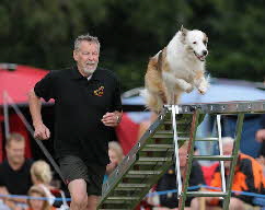 Peter mit Milou, Fionia Cup Dnemark 2010