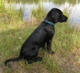Juli 2013
