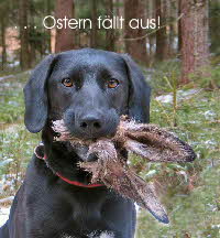 Ostern fllt aus