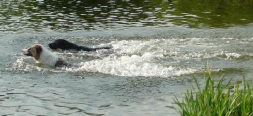 ...mit meinem Kumpel um die Wette schwimmen ist toll.